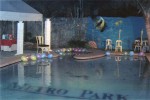 Debut Party (Poolside)